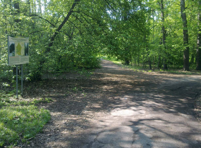 Достопримечательности хабаровск