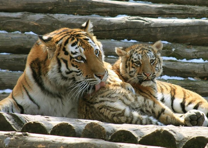 Достопримечательности хабаровск